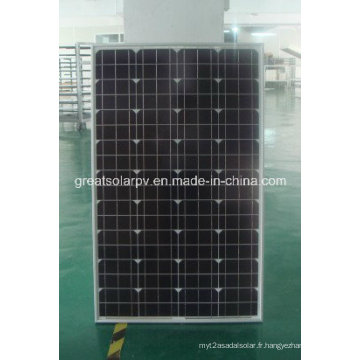 Panneau solaire Mono 90W à économie d&#39;énergie avec des fabricants de prix favorables en Chine